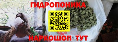 a pvp Рыбинск