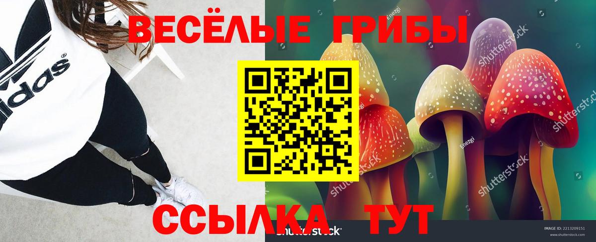 Советская Гавань  дарнет шоп  Вход с VPN  Галлюциногенные грибы ЛСД 